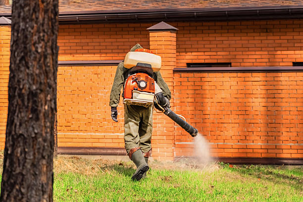 Bed Bug Clearance Verification and Documentation in Shoreacres